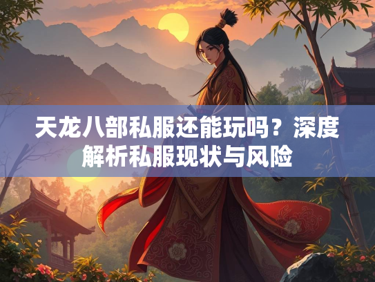 天龙八部私服还能玩吗？深度解析私服现状与风险