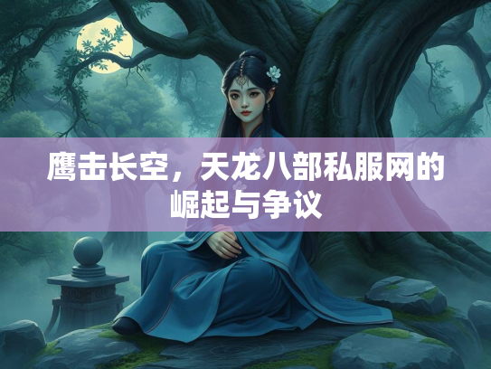 鹰击长空，天龙八部私服网的崛起与争议