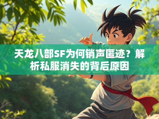 天龙八部SF为何销声匿迹？解析私服消失的背后原因