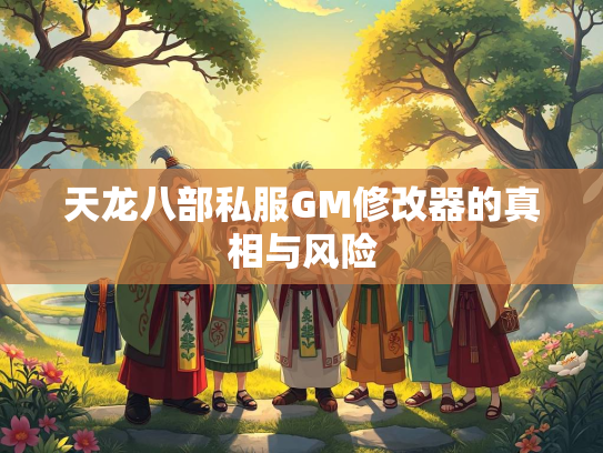 天龙八部私服GM修改器的真相与风险  第3张