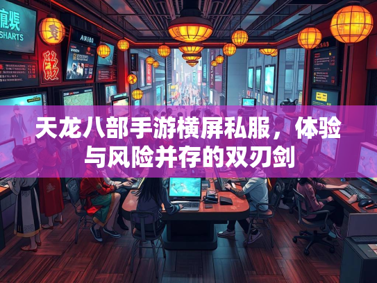 天龙八部手游横屏私服，体验与风险并存的双刃剑  第3张