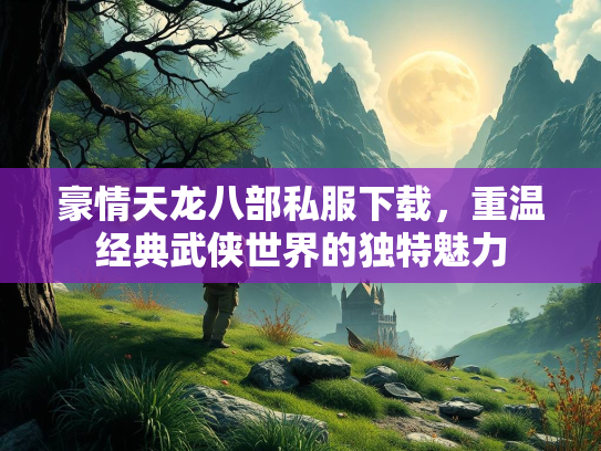 豪情天龙八部私服下载，重温经典武侠世界的独特魅力