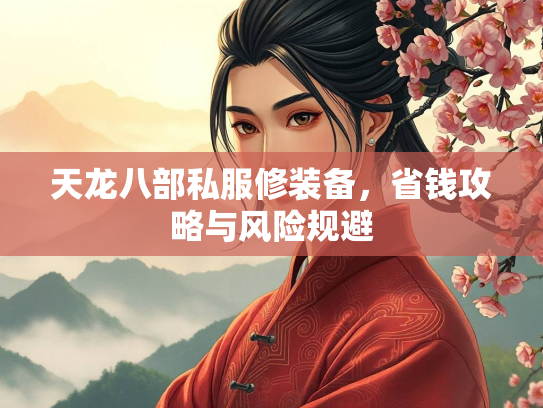 天龙八部私服修装备，省钱攻略与风险规避  第3张