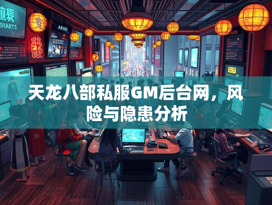 天龙八部私服GM后台网，风险与隐患分析  第3张