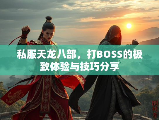 私服天龙八部，打BOSS的极致体验与技巧分享