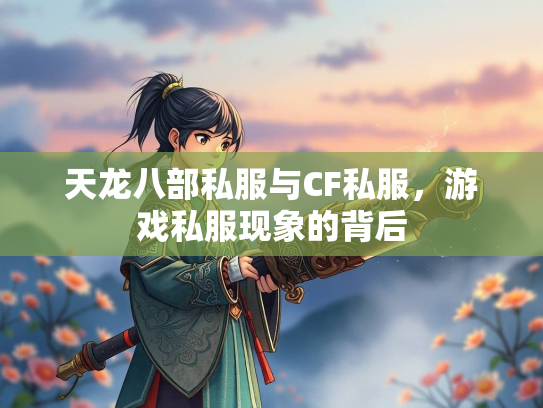 天龙八部私服与CF私服，游戏私服现象的背后
