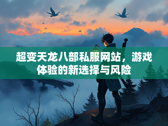 超变天龙八部私服网站，游戏体验的新选择与风险