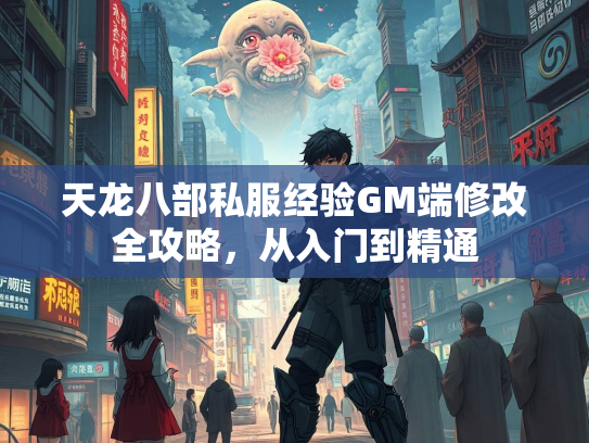 天龙八部私服经验GM端修改全攻略，从入门到精通