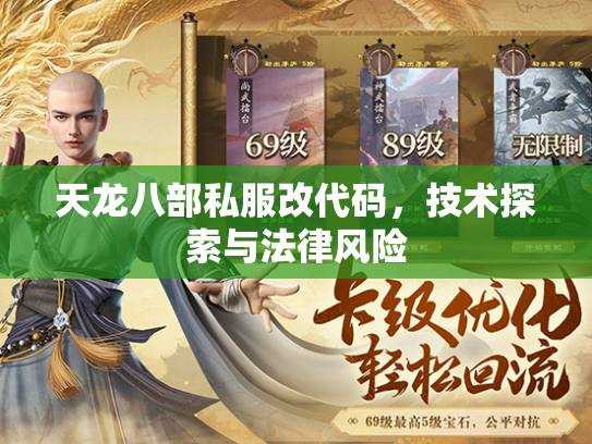 天龙八部私服改代码，技术探索与法律风险