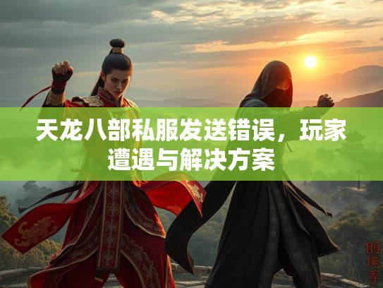 天龙八部私服发送错误，玩家遭遇与解决方案