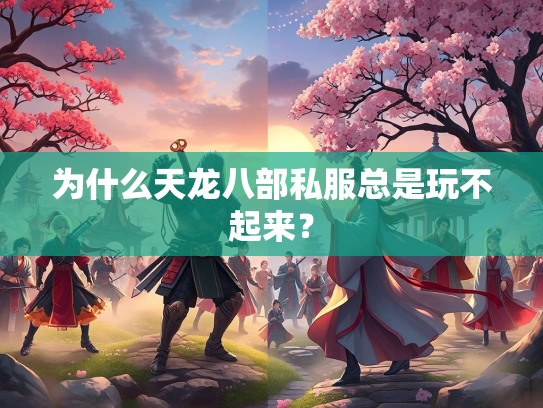 为什么天龙八部私服总是玩不起来？  第2张