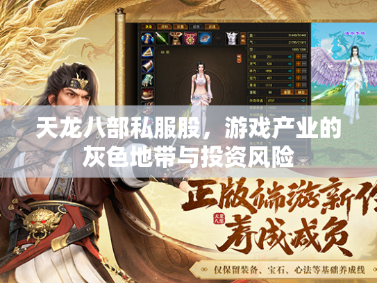 天龙八部私服股，游戏产业的灰色地带与投资风险  第2张