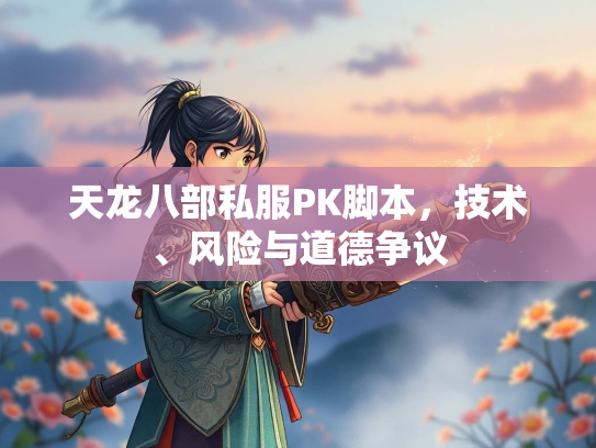 天龙八部私服PK脚本，技术、风险与道德争议  第3张