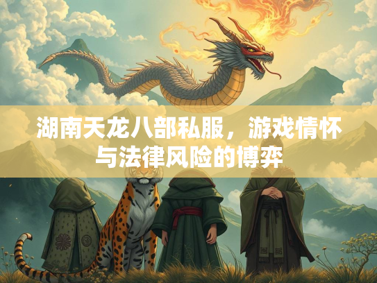 湖南天龙八部私服，游戏情怀与法律风险的博弈  第2张