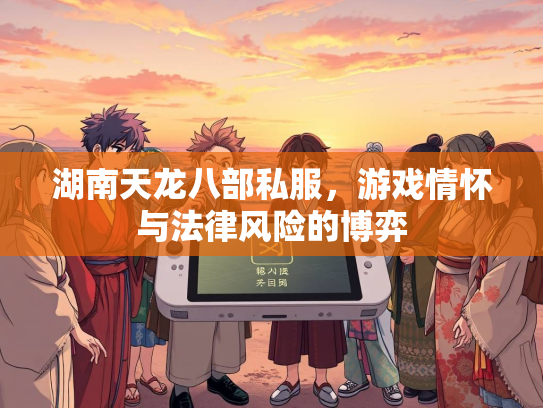 湖南天龙八部私服，游戏情怀与法律风险的博弈  第3张