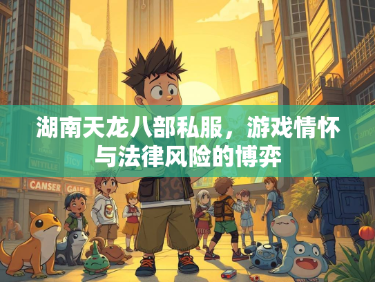 湖南天龙八部私服，游戏情怀与法律风险的博弈  第1张