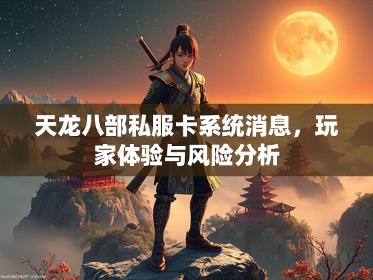 天龙八部私服卡系统消息，玩家体验与风险分析  第2张