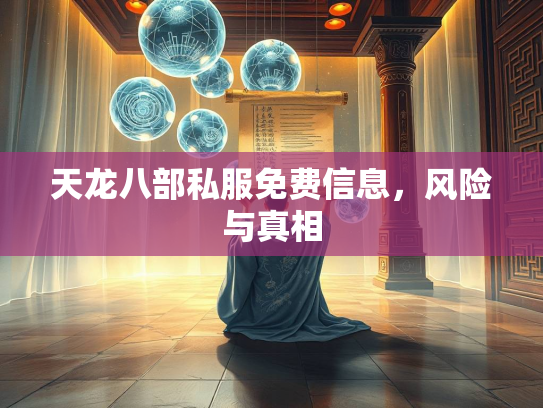 天龙八部私服免费信息，风险与真相  第2张