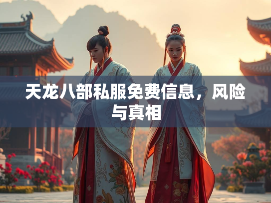 天龙八部私服免费信息，风险与真相  第1张