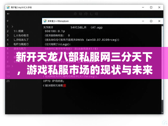 新开天龙八部私服网三分天下，游戏私服市场的现状与未来