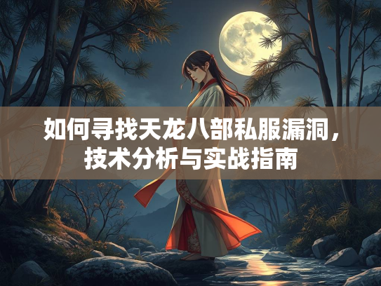 如何寻找天龙八部私服漏洞，技术分析与实战指南