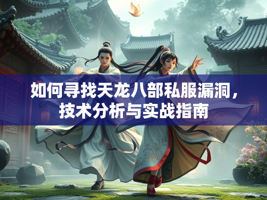 如何寻找天龙八部私服漏洞，技术分析与实战指南