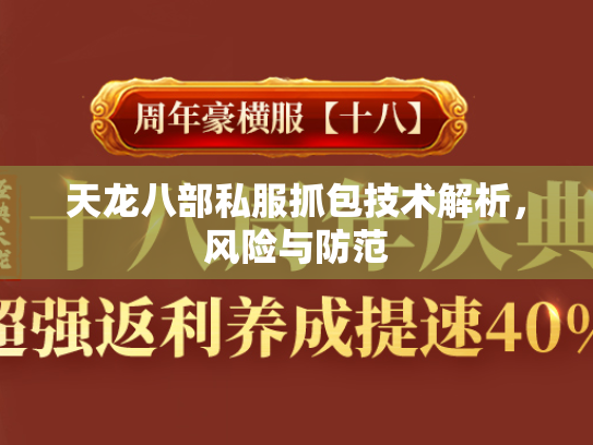 天龙八部私服抓包技术解析，风险与防范