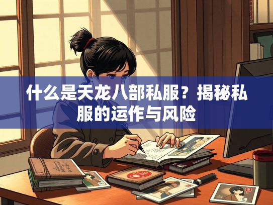 什么是天龙八部私服？揭秘私服的运作与风险  第2张
