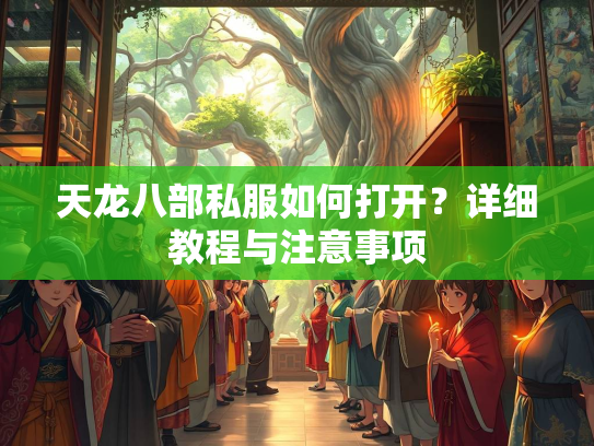 天龙八部私服如何打开？详细教程与注意事项