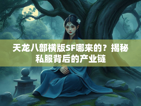 天龙八部横版SF哪来的？揭秘私服背后的产业链  第3张