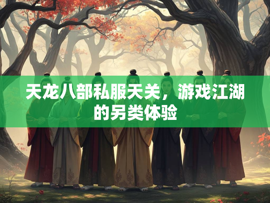 天龙八部私服天关，游戏江湖的另类体验  第2张