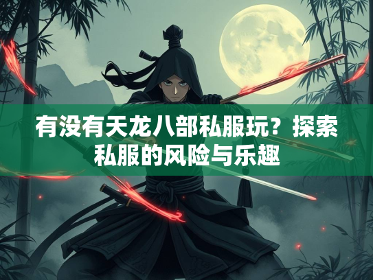 有没有天龙八部私服玩？探索私服的风险与乐趣  第3张