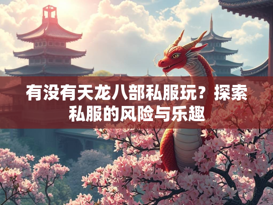 有没有天龙八部私服玩？探索私服的风险与乐趣  第1张
