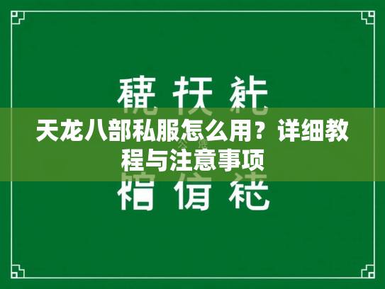 天龙八部私服怎么用？详细教程与注意事项  第2张