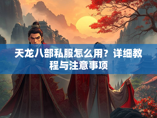天龙八部私服怎么用？详细教程与注意事项  第1张