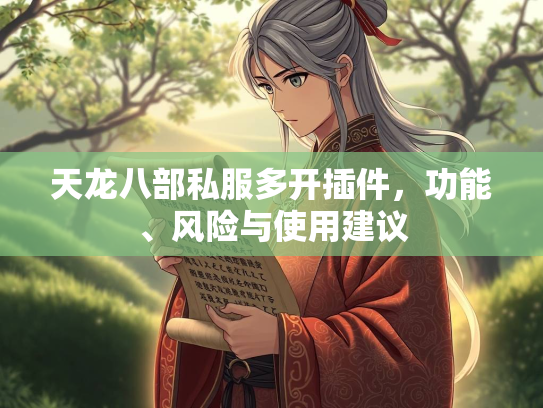 天龙八部私服多开插件，功能、风险与使用建议  第3张