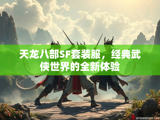 天龙八部SF套装服，经典武侠世界的全新体验  第2张