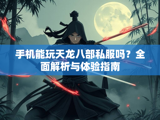 手机能玩天龙八部私服吗？全面解析与体验指南  第2张