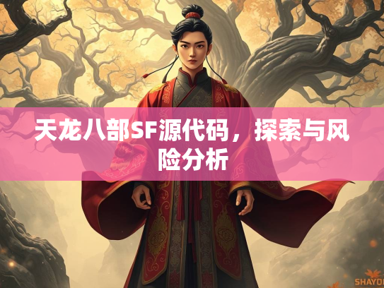 天龙八部SF源代码，探索与风险分析
