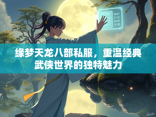 缘梦天龙八部私服，重温经典武侠世界的独特魅力  第2张