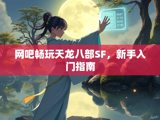 网吧畅玩天龙八部SF，新手入门指南  第2张