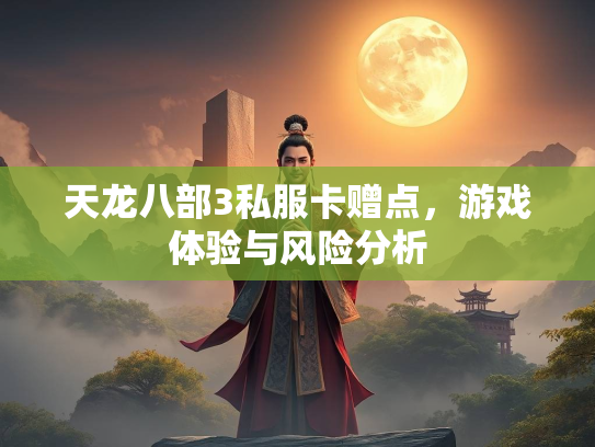 天龙八部3私服卡赠点，游戏体验与风险分析  第2张