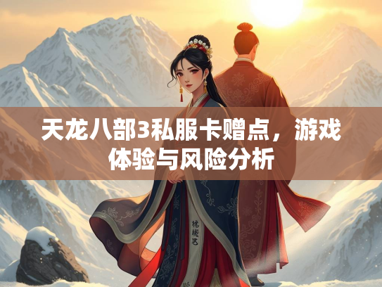 天龙八部3私服卡赠点，游戏体验与风险分析  第3张