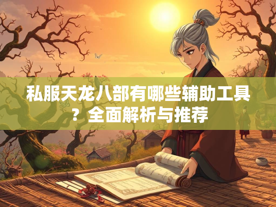 私服天龙八部有哪些辅助工具？全面解析与推荐  第2张