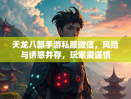 天龙八部手游私服微信，风险与诱惑并存，玩家需谨慎