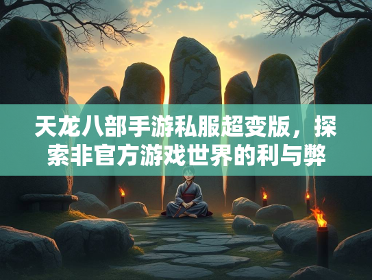 天龙八部手游私服超变版，探索非官方游戏世界的利与弊