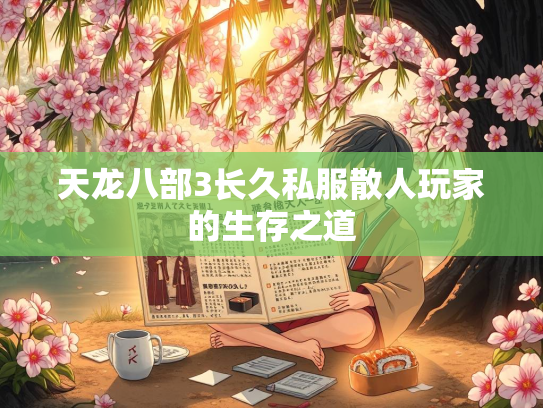 天龙八部3长久私服散人玩家的生存之道