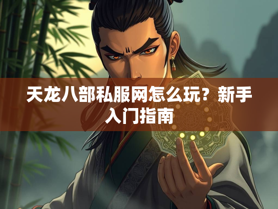 天龙八部私服网怎么玩？新手入门指南