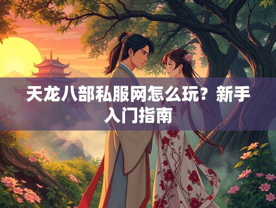 天龙八部私服网怎么玩？新手入门指南