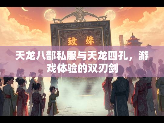 天龙八部私服与天龙四孔，游戏体验的双刃剑  第3张